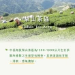【茶曉得】梨曉龍｜梨山比賽級功夫烏龍茶葉150gX3罐(共0.75斤  春茶)