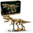 【LEGO 樂高】侏羅紀世界系列 76968 恐龍化石：暴龍(侏羅紀世界 恐龍 居家擺設 1:12比例)
