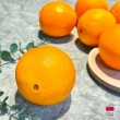 【舒果SoFresh】美國肚臍丁 大果粒(10顆x4袋/約8.9kg/箱)
