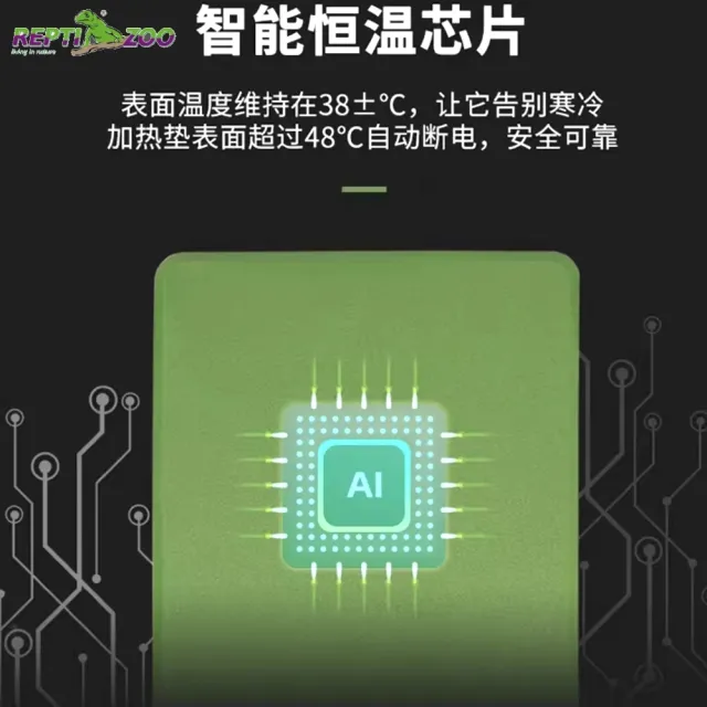 【REPTIZOO】兩棲爬蟲防水豪華加熱墊 40W 恆溫保暖過冬必備(快速發熱 溫度比一般加熱墊高REPTI ZOO)