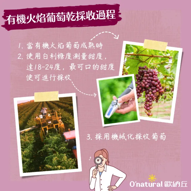【O’natural 歐納丘】袋裝_美國加州火焰天然葡萄乾165g*3袋