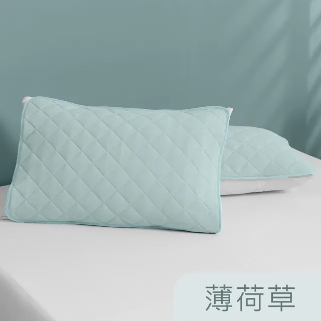 【Tonia Nicole 東妮寢飾】TopCool冰凍涼感枕頭保潔墊2入(十色任選)