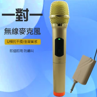 【Q&T】動圈式1對1無線麥克風(SY-T5306B) 【Q&T】動圈式1對1無線麥克風(SY-T5306B)