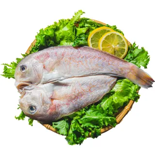 【鮮綠生活】馬頭魚一夜干(300g~400g±10%/包 共6包)