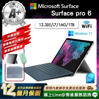 【Microsoft 微軟】A+級福利品 12.3吋 二合一平板電腦(Surface Pro 6/i7-8650U/16G/1TB/W11)