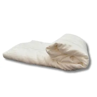 【Mexsmon 美思夢】100%桑蠶絲 100支頂級天絲被套 6X7尺雙人(殿堂級 2.5kg純手工長纖雙宮繭蠶絲被)