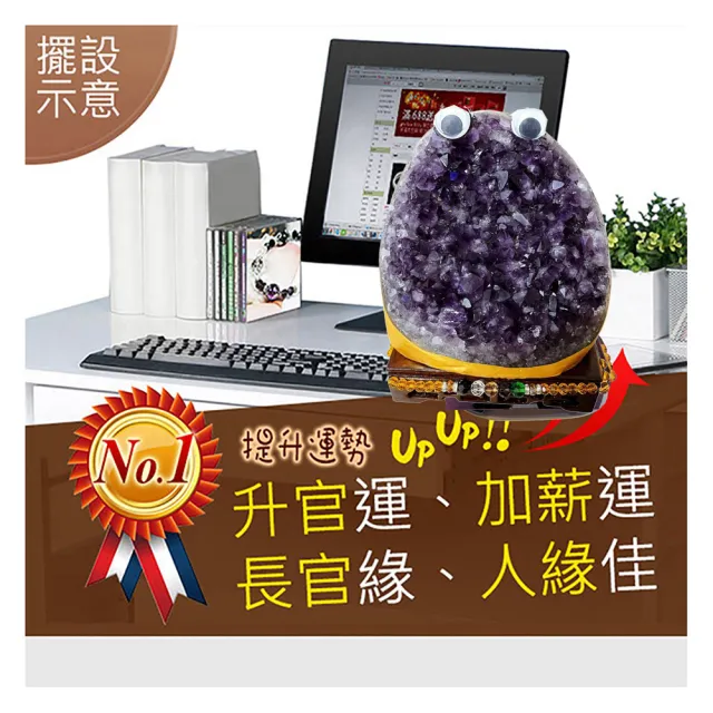 【開運億姊】稀有黃金色萌寵紫水晶鎮-同紫水晶洞能量/開運/擋煞/旺九紫離火運(2.2kg-Q-20)