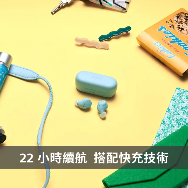 【SONY 索尼】WF-C510 真無線藍牙耳機(公司貨 保固12個月)