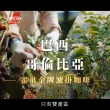 【NESCAFE 雀巢咖啡】金牌綜合濾掛咖啡多入組(口味任選)