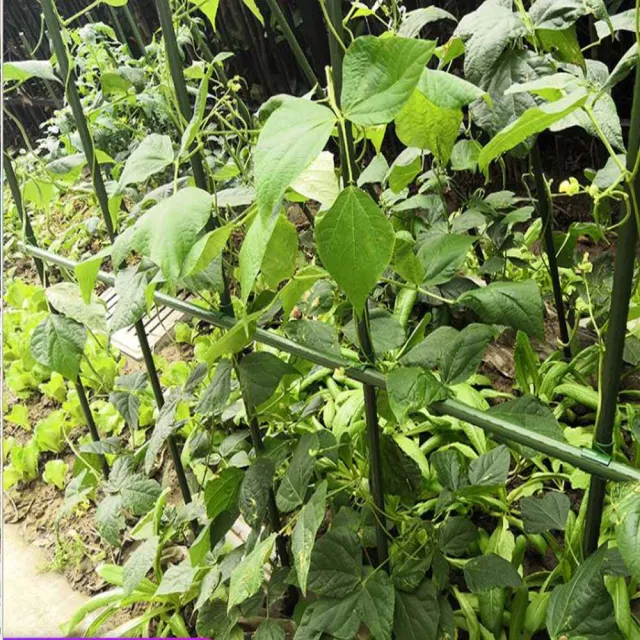 【poko】鐵爬藤桿 11mm 90公分 16入組附鐵絲扣 菜架 菜棚 蔬果架 鐵竹竿 園藝植物桿 藤蔓攀藤架
