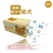 【淨新】3D醫療級 2-5歲幼幼細耳立體口罩(150入/三盒/國家隊 防護醫療級/防飛沫/灰塵)