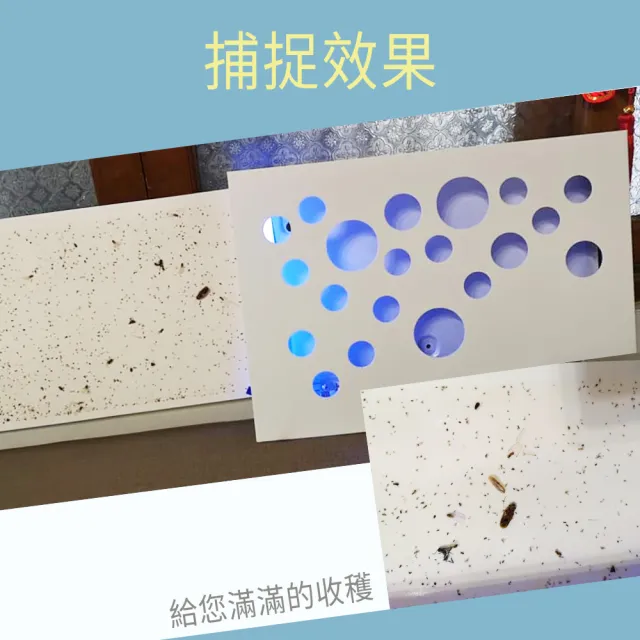 Bellwishes貝爾威旭 LED光觸媒蟲蟲捕手(光觸媒捕蚊 安全設計)
