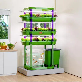 【Lagoon】魚菜共生系統V3.0-3層(天然無毒/美化環境/舒壓療癒/科普教育)