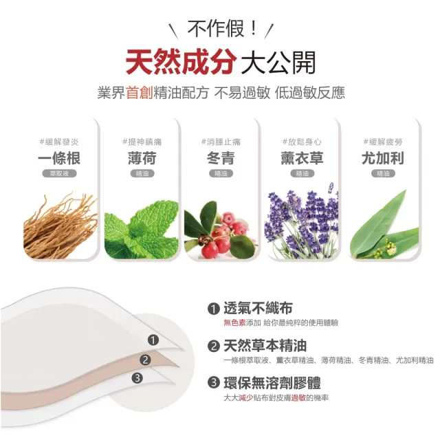 【花芊生技】金牌 金門一條根精油貼布 薰衣草複方 12入組(8片/包 薰衣草舒眠好放鬆)