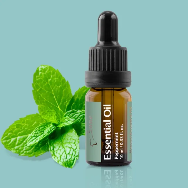 【Bone 蹦克】天然有機香氛療癒單方精油 滴管 10ml (薄荷)