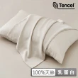【ALAI 寢飾工場】60支100%天絲萊賽爾纖維 枕套2入組 多色任選(適用任何枕心/美式信封枕套/涼感/素色)