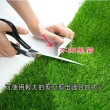 【poko台灣SGS認證】人工草皮 100x100cm(白色膠底款 無甲醛 仿真景觀草皮 草坪 草地毯 草皮 草)