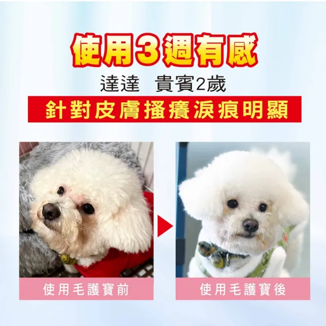 【ATB 阿桐伯】毛孩優品毛護寶X2盒(30包/盒;1g/包)