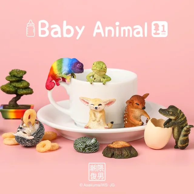 【YENDAR 研達】朝隈俊男 Baby Animal [單盒](超萌寶寶來襲!)