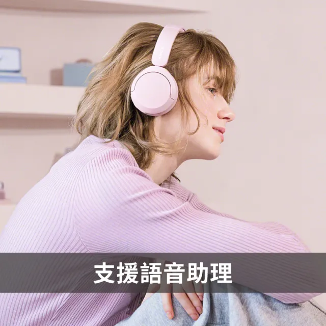 【SONY 索尼】WH-CH520 無線藍牙耳罩式耳機(公司貨 保固12個月)