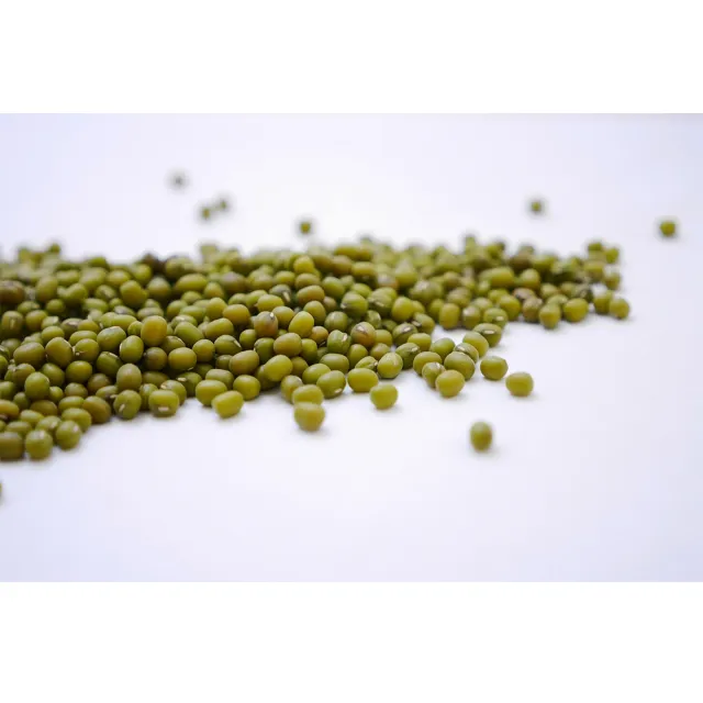 【長青穀典】有機綠豆 500g/包(年節送禮 伴手禮 綠豆 豆芽 烘焙 交換禮物 綠豆湯)