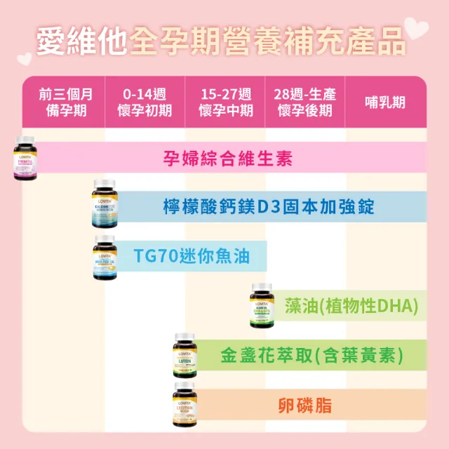 【LOVITA 愛維他】孕婦綜合維他命素食膠囊(60顆)