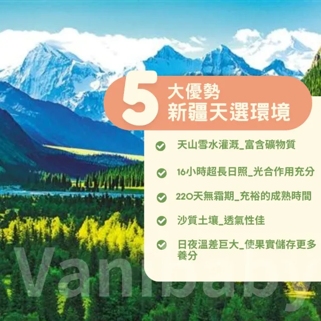【正宗 西域果園】新疆紙皮烤核桃500g x2包(健康新配方 通過食品安全檢驗 無違法添加物 最新生產日期)