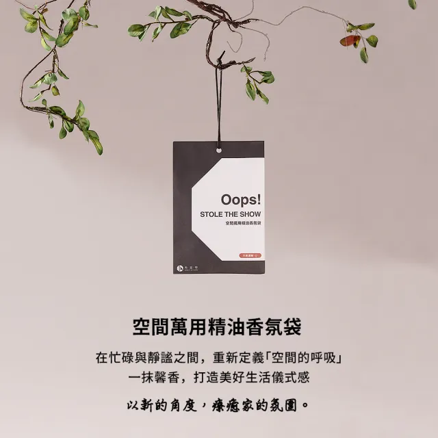 【台隆手創館】角度學 Oops空間萬用精油香氛袋-3入裝(香氛包 居家香氛)
