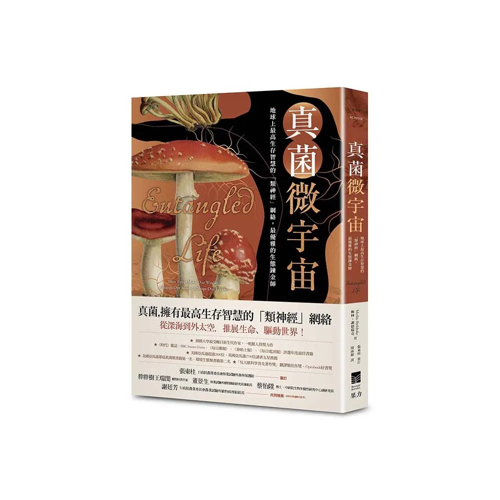 真菌微宇宙：地球上最高生存智慧的「類神經」網絡 最優雅的生態鍊金師