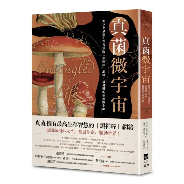 真菌微宇宙：地球上最高生存智慧的「類神經」網絡 最優雅的生態鍊金師