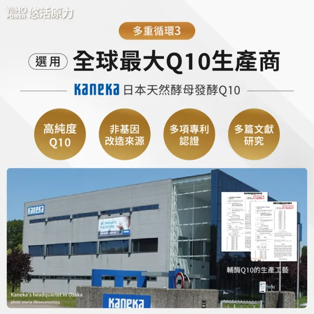 【悠活原力】悠活紅麴納豆Q10膠囊x3盒(60粒/盒 共180粒 非使用小林紅麴)