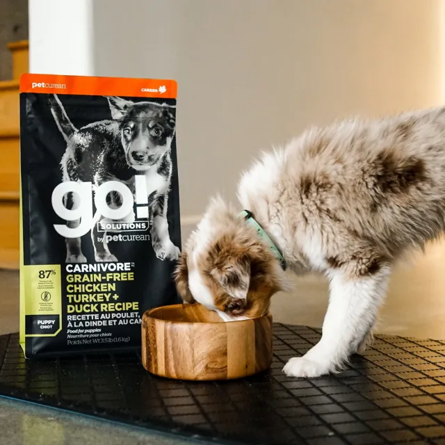 【Go!】雞肉鮭魚 3.5磅 兩件優惠組 幼犬/懷孕犬高肉量系列 無穀天然糧(狗糧 挑嘴 狗飼料)