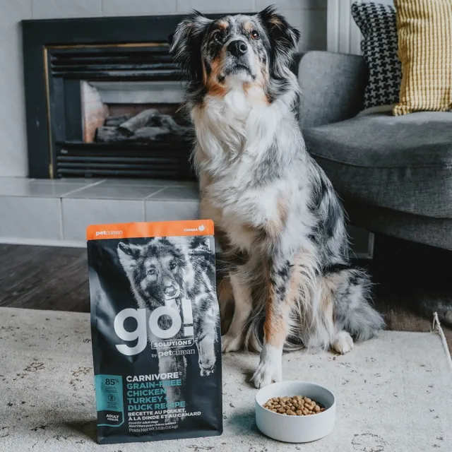 【Go!】雞肉鮭魚 3.5磅 成犬高肉量系列 低碳水無穀天然糧(狗糧 狗飼料 寵物食品 挑嘴)