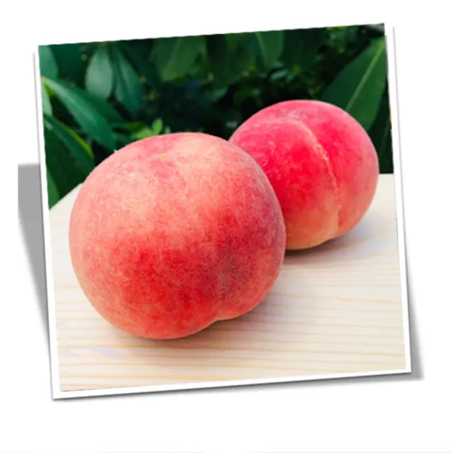 【RealShop】加州空運水蜜桃1.8kgx2盒(單盒7-9顆 禮盒包裝 水果禮盒 團購)