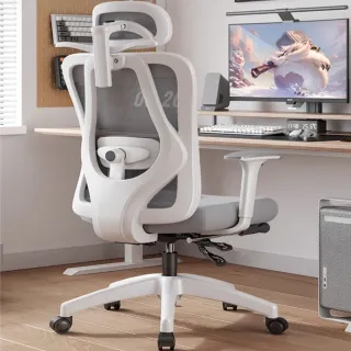 【HTGC】XD頂級人體工學椅 椅背掛衣 多向頭枕 4D腰托 6D扶手(電腦椅 辦公椅 會議椅 工作椅 人體工學椅)