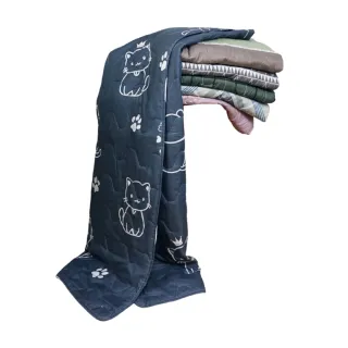 【LASSLEY】羽絲絨涼被-150x180cm(多款任選 夏涼被 空調被 涼被)