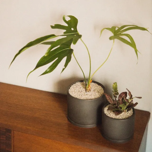 【Kinto】PLANT POT 191陶瓷花盆13.5cm-深灰 2.0