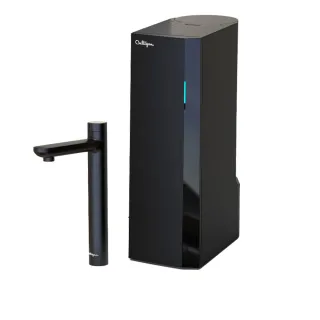 【美國Culligan 康麗根】櫥下RO瞬熱雙溫飲水機 AVE-T2800