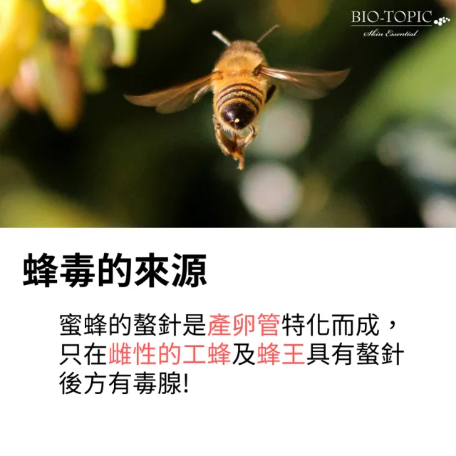 【BIO-TOPIC 塔碧絲】活齡精純限定組(蜂毒露+神經醯胺露)