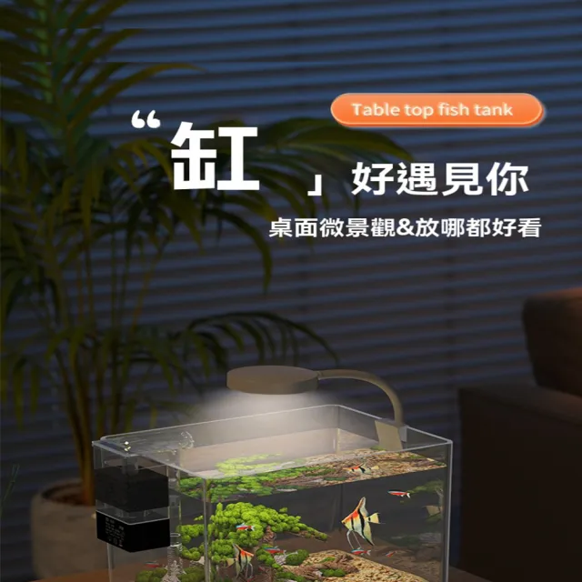 【星治】烏龜缸/水族箱/懶人魚缸/亞克力魚缸 預計10工作天送達(18*14*15cm 裸缸)