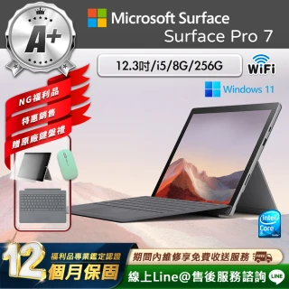 【Microsoft 微軟】A+級福利品 12.3吋 二合一平板電腦(Surface Pro 7/i5-1035G4/8G/256GB/W11)