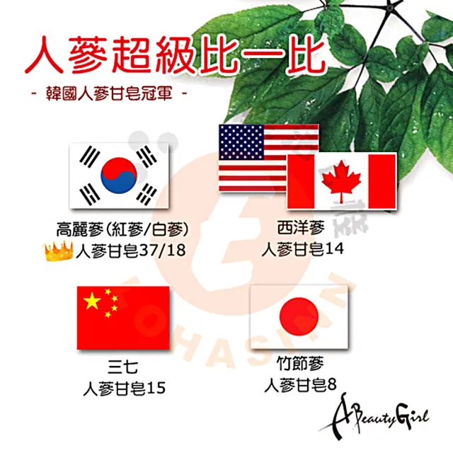 【金蔘】6年根韓國高麗人蔘蔘芝王禮盒(100ml*7瓶 共5盒)