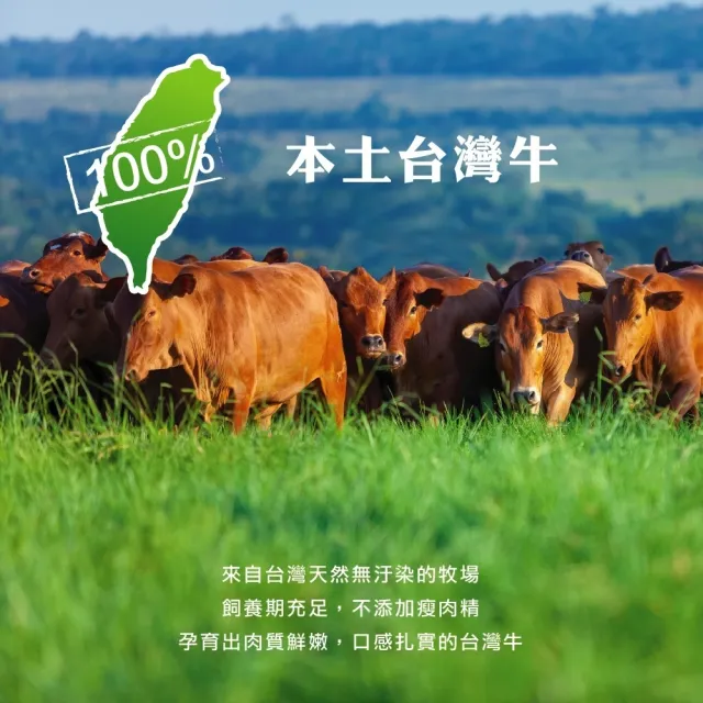 【國際牛肉店】三叉筋/牛腩/肋條/牛腱切塊/任選四包贈二滷包(清真台灣溫體手切牛肉)