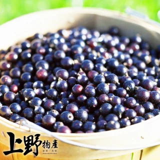【上野物產】10盒 冷凍 黑醋栗(250g±10%/盒 桑葚/水果/蔓越莓/藍莓/莓果/黑醋栗/覆盆子)