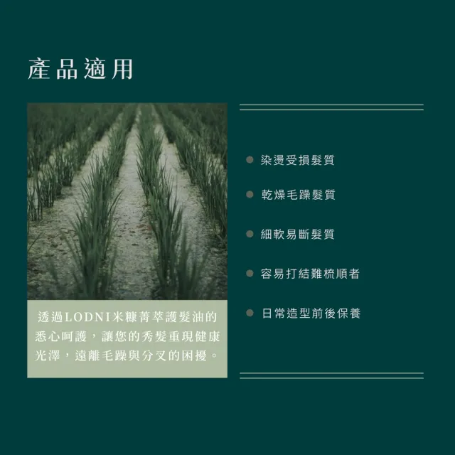 【LODNI 蘿德妮】米糠菁萃護髮油100mL(特別推薦染燙受損毛髮使用)