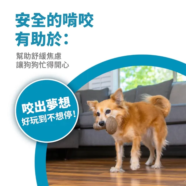 【Petstages】蘑菇史迪克 寵物玩具 花生醬風味 潔牙 耐咬 狗玩具