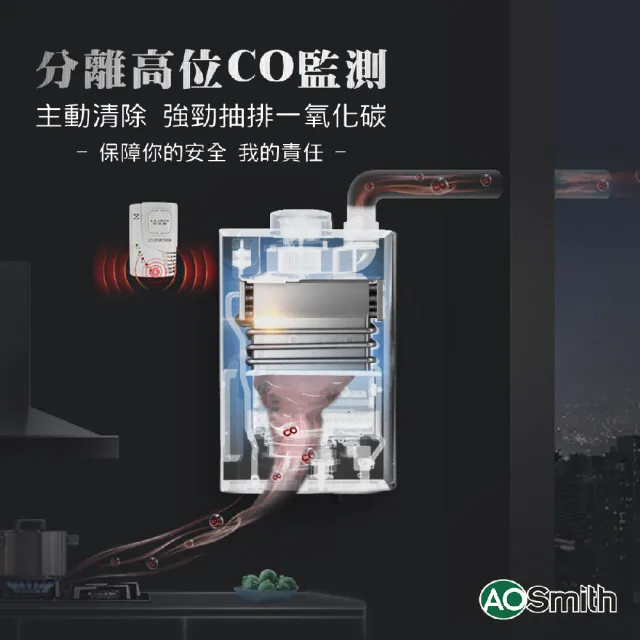 【A.O.Smith】AO史密斯 24L商用不鏽鋼瓦斯熱水器 防CO偵測器(JSQ48-ST24T NG1/FE式 含基本安裝 適用天然氣)