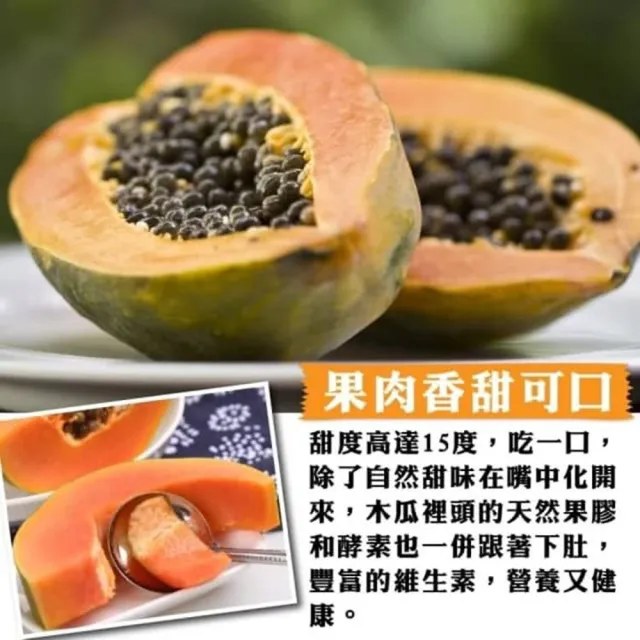 【WANG 蔬果】台農2號木瓜10斤x1箱(9-14顆/箱 果農直配/外銷等級)