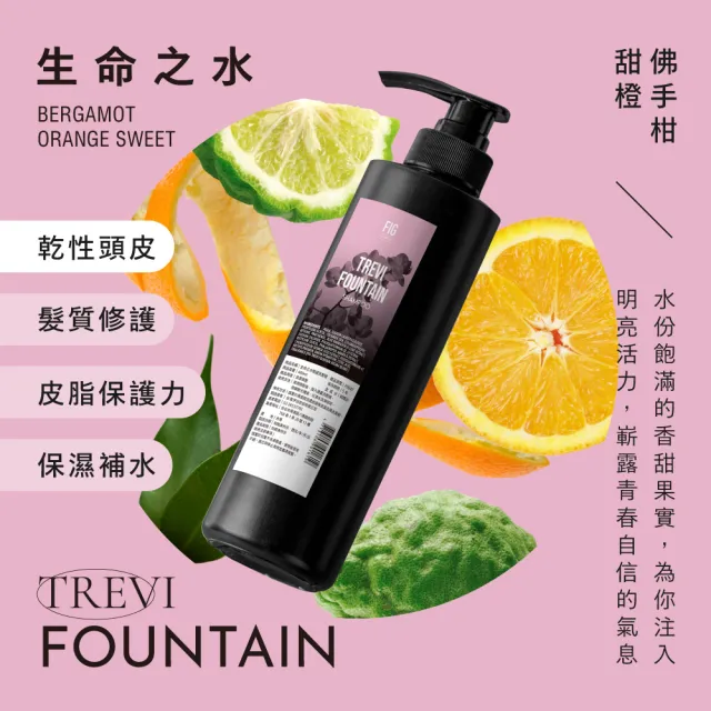 【伊聖詩】FIG 修護洗髮精480ml(多款任選/晨曦朝露/陽光普照/雨過天晴/生命之水)