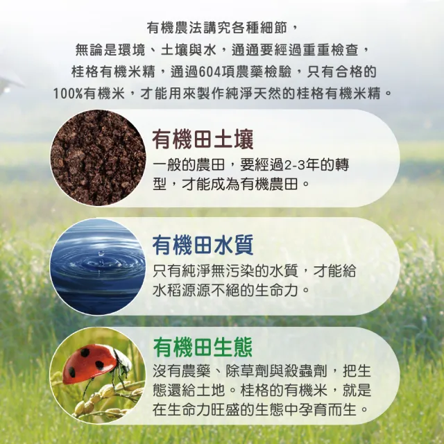 【QUAKER 桂格】有機米精300g*4罐